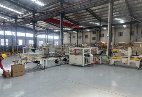  翻轉側推裝箱線