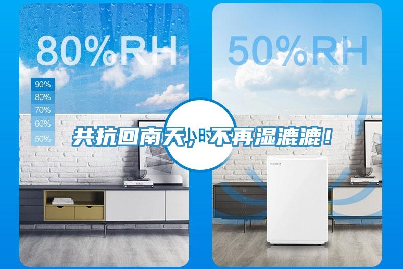 共抗回南天，不再濕漉漉！