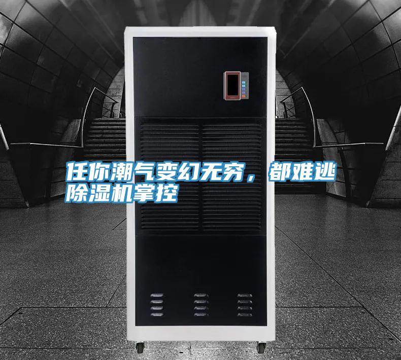 任你潮氣變幻無窮，都難逃除濕機(jī)掌控