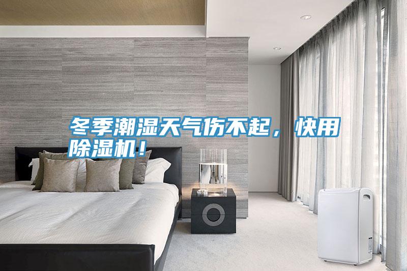 冬季潮濕天氣傷不起，快用除濕機！