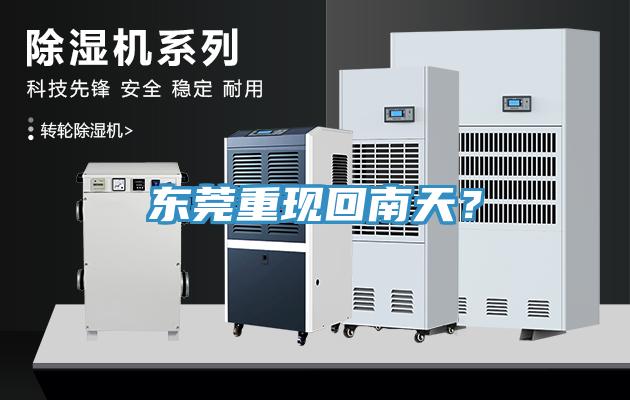 東莞重現(xiàn)回南天？