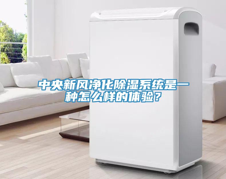 中央新風(fēng)凈化除濕系統(tǒng)是一種怎么樣的體驗(yàn)？