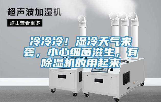 冷冷冷！濕冷天氣來襲，小心細菌滋生，有除濕機的用起來