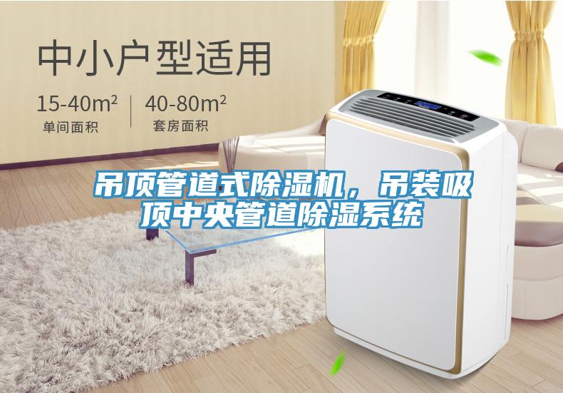 吊頂管道式除濕機，吊裝吸頂中央管道除濕系統(tǒng)