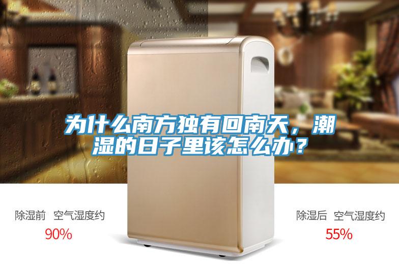 為什么南方獨(dú)有回南天，潮濕的日子里該怎么辦？