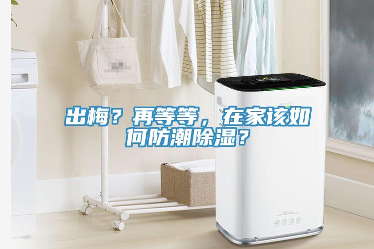 出梅？再等等，在家該如何防潮除濕？