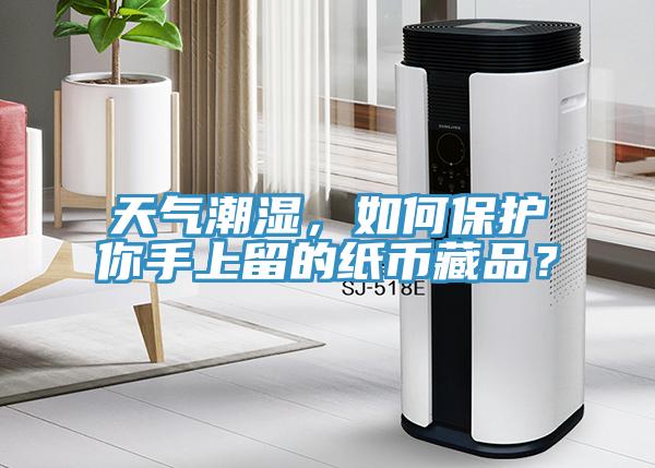 天氣潮濕，如何保護(hù)你手上留的紙幣藏品？