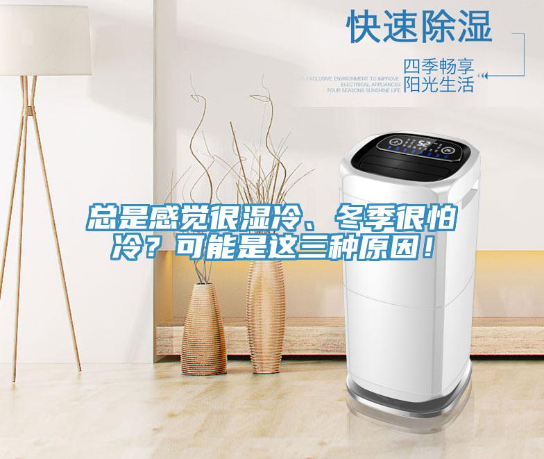 總是感覺很濕冷、冬季很怕冷？可能是這三種原因！