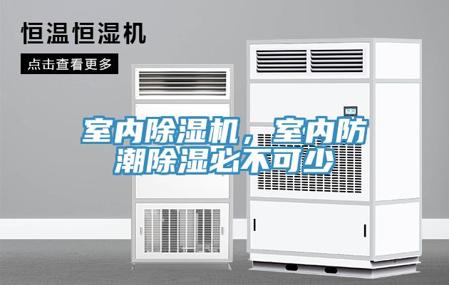 室內(nèi)除濕機，室內(nèi)防潮除濕必不可少