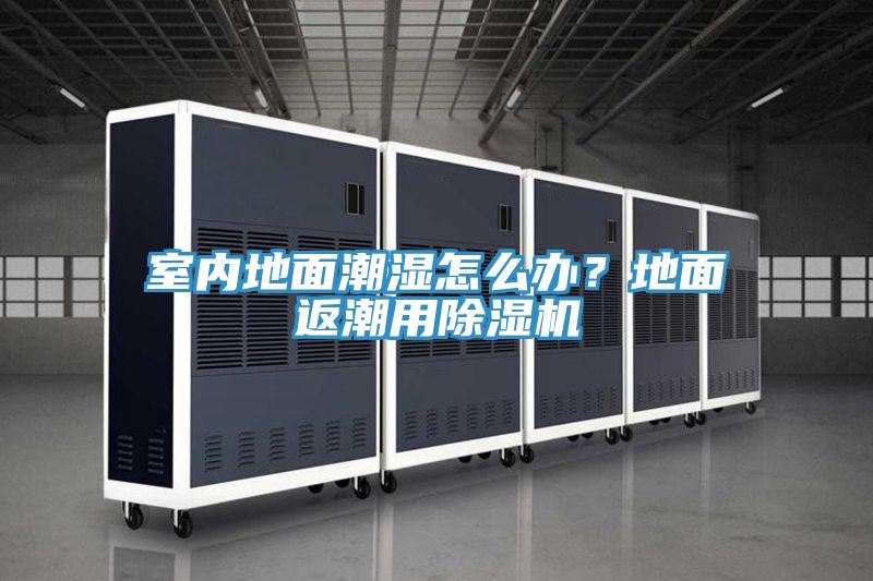 室內(nèi)地面潮濕怎么辦？地面返潮用除濕機(jī)