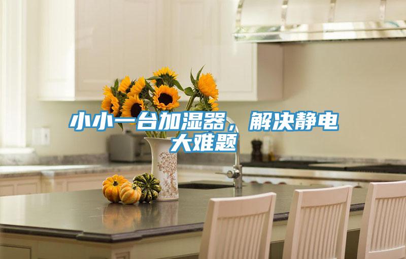 小小一臺加濕器，解決靜電大難題