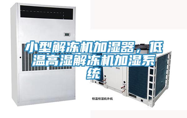 小型解凍機加濕器，低溫高濕解凍機加濕系統(tǒng)