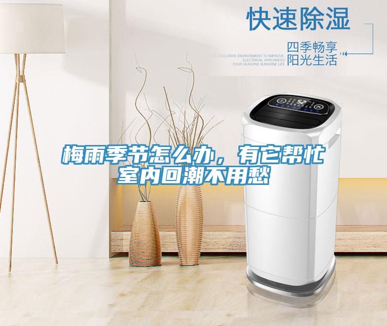梅雨季節(jié)怎么辦，有它幫忙室內(nèi)回潮不用愁