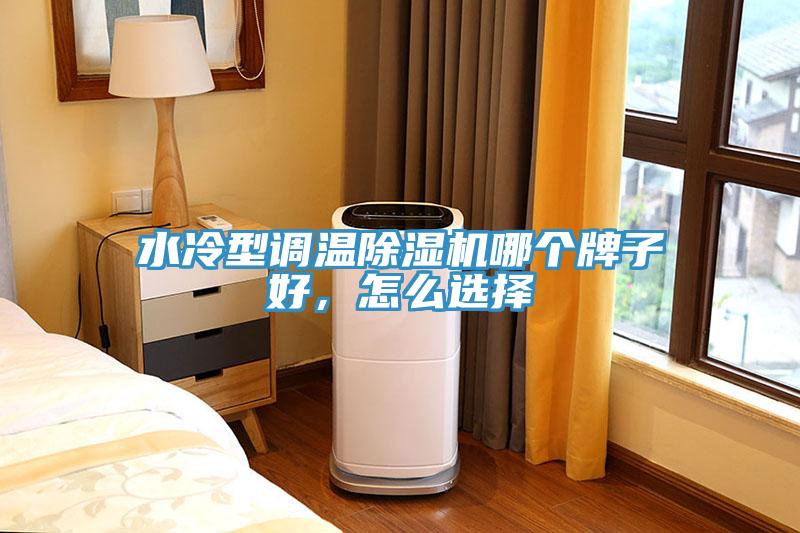 水冷型調(diào)溫除濕機(jī)哪個(gè)牌子好，怎么選擇