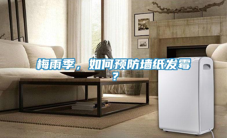 梅雨季，如何預(yù)防墻紙發(fā)霉？