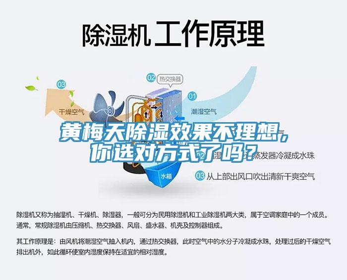 黃梅天除濕效果不理想，你選對(duì)方式了嗎？