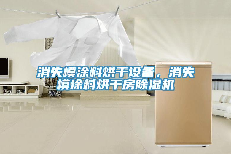 消失模涂料烘干設備，消失模涂料烘干房除濕機