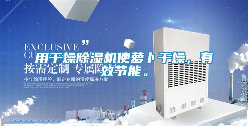 用干燥除濕機(jī)使蘿卜干燥，有效節(jié)能。