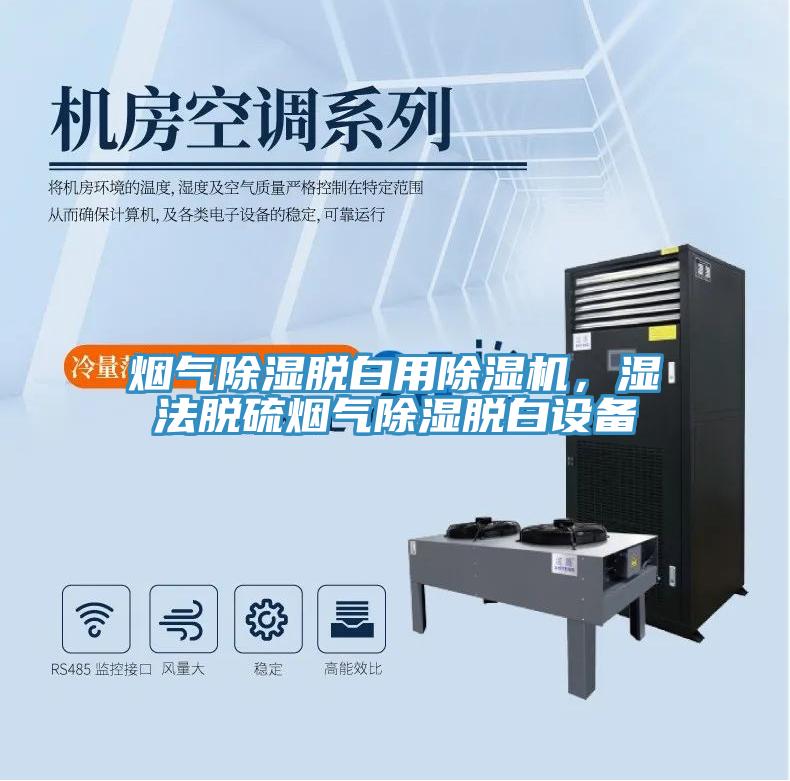 煙氣除濕脫白用除濕機，濕法脫硫煙氣除濕脫白設(shè)備