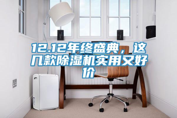 12.12年終盛典，這幾款除濕機實用又好價