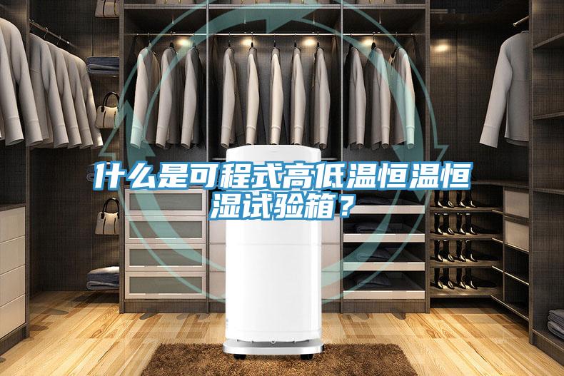 什么是可程式高低溫恒溫恒濕試驗箱？