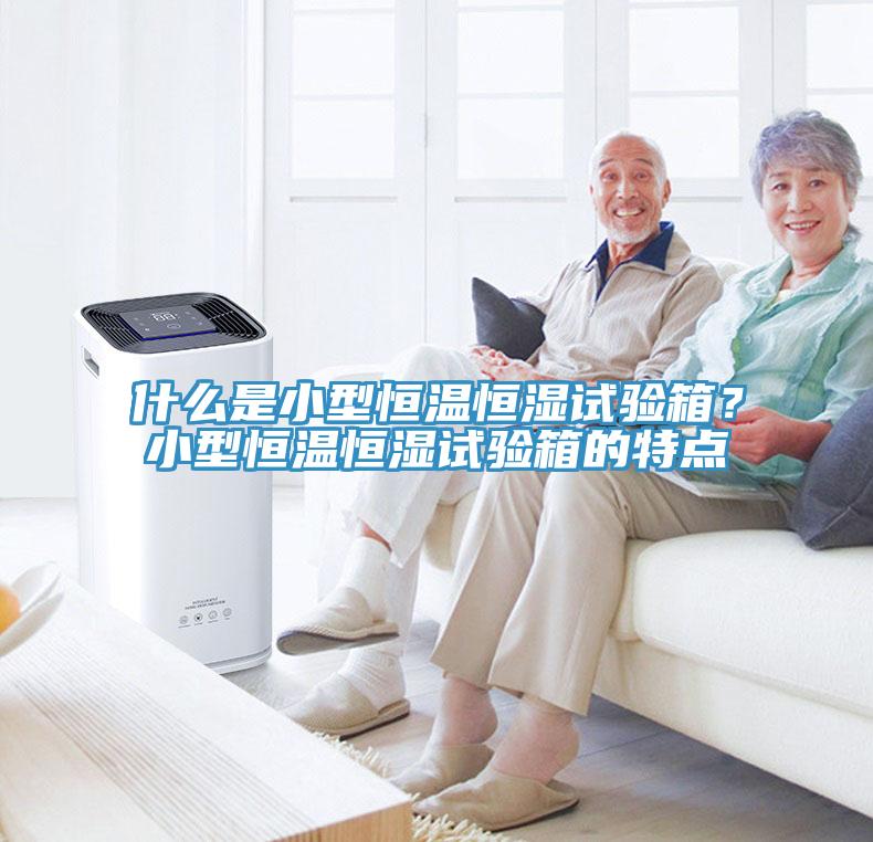 什么是小型恒溫恒濕試驗箱？小型恒溫恒濕試驗箱的特點