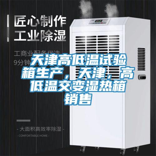 天津高低溫試驗箱生產(chǎn)，天津，高低溫交變濕熱箱銷售