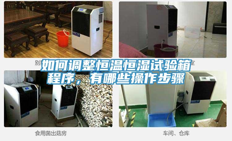 如何調(diào)整恒溫恒濕試驗(yàn)箱程序，有哪些操作步驟