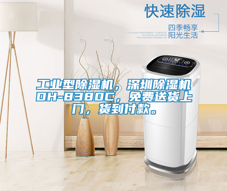 工業(yè)型除濕機(jī)，深圳除濕機(jī)DH-8380C，免費(fèi)送貨上門(mén)，貨到付款。