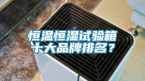 恒溫恒濕試驗(yàn)箱十大品牌排名？