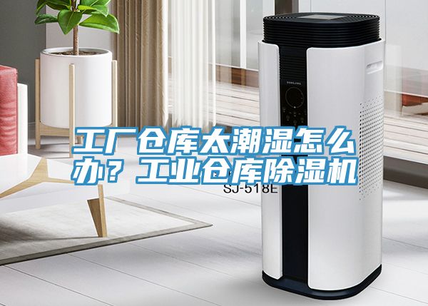 工廠倉庫太潮濕怎么辦？工業(yè)倉庫除濕機(jī)