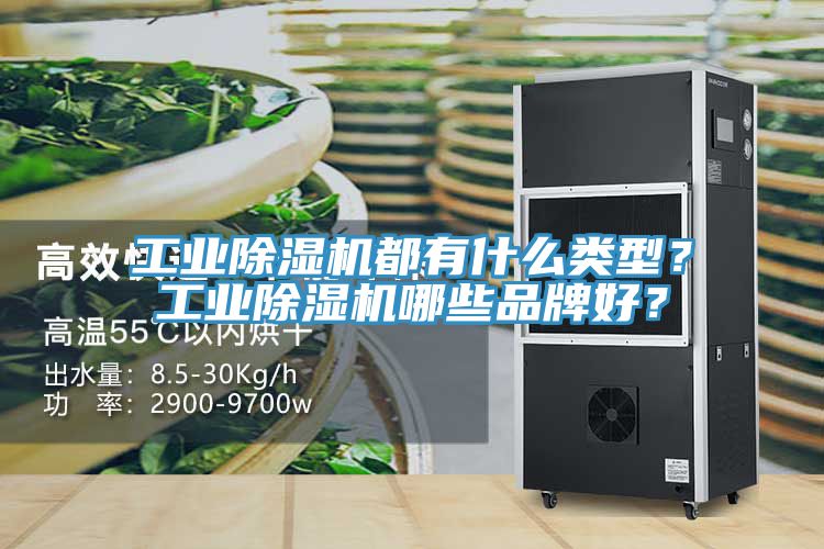 工業(yè)除濕機(jī)都有什么類型？工業(yè)除濕機(jī)哪些品牌好？