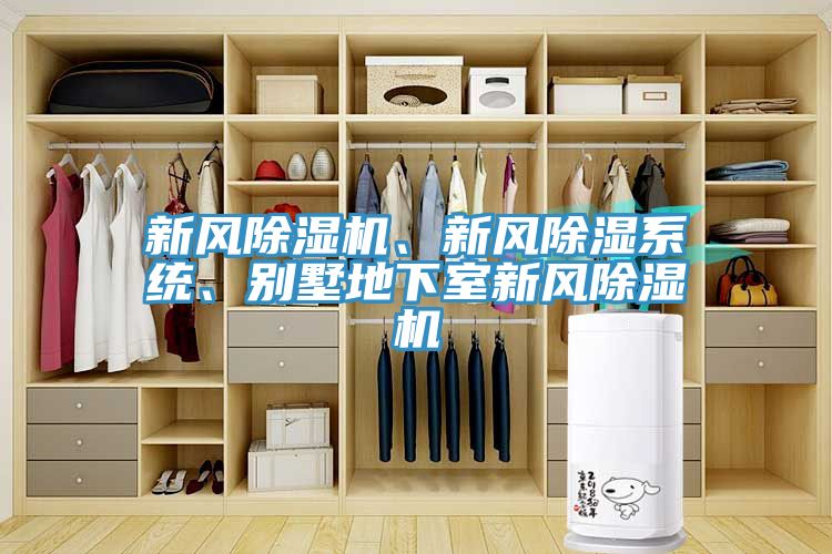 新風(fēng)除濕機(jī)、新風(fēng)除濕系統(tǒng)、別墅地下室新風(fēng)除濕機(jī)