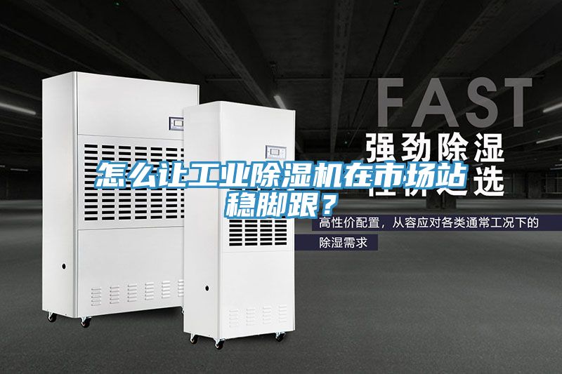 怎么讓工業(yè)除濕機(jī)在市場站穩(wěn)腳跟？