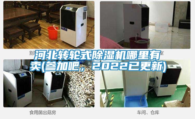 河北轉(zhuǎn)輪式除濕機(jī)哪里有賣(參加吧，2022已更新)
