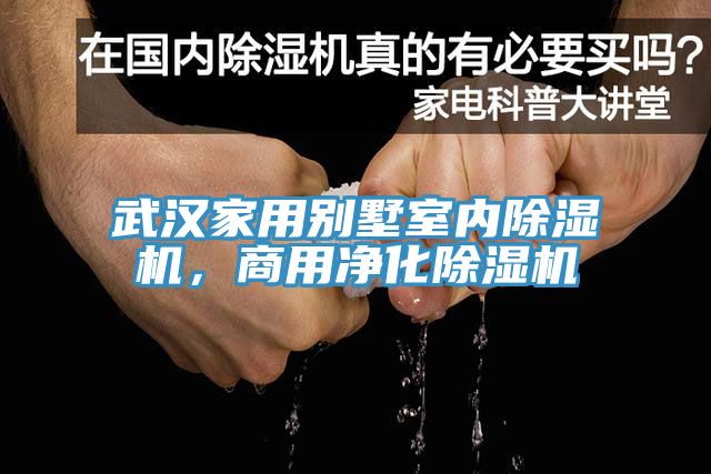武漢家用別墅室內(nèi)除濕機(jī)，商用凈化除濕機(jī)
