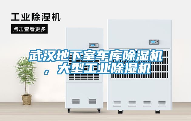 武漢地下室車庫除濕機(jī)，大型工業(yè)除濕機(jī)
