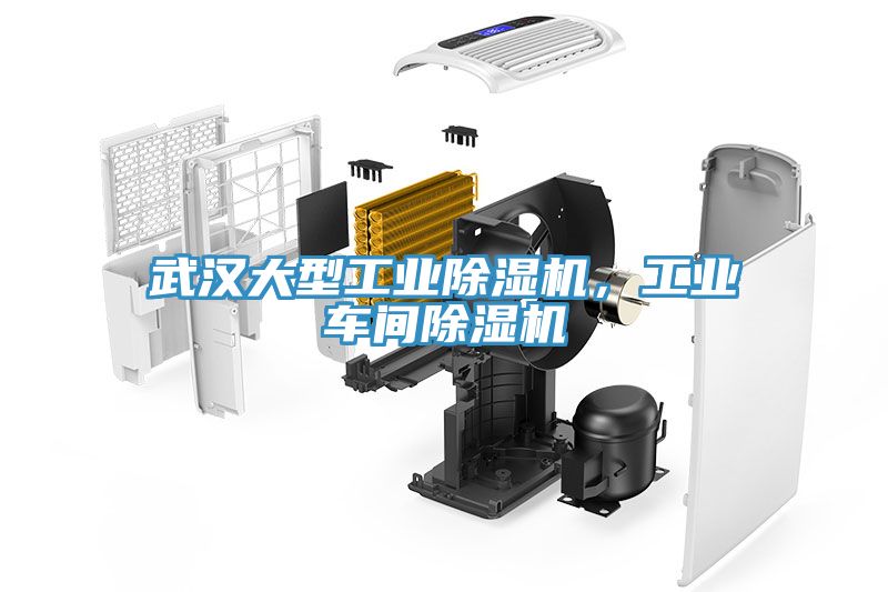 武漢大型工業(yè)除濕機(jī)，工業(yè)車間除濕機(jī)