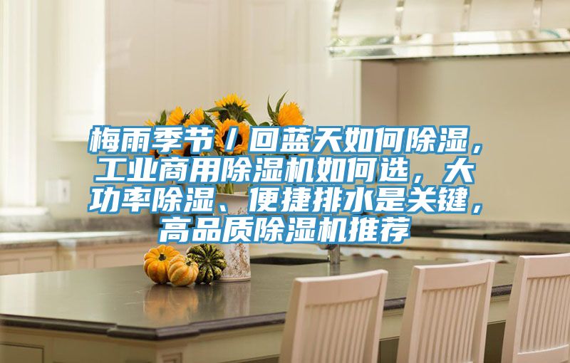 梅雨季節(jié)／回藍(lán)天如何除濕，工業(yè)商用除濕機(jī)如何選，大功率除濕、便捷排水是關(guān)鍵，高品質(zhì)除濕機(jī)推薦