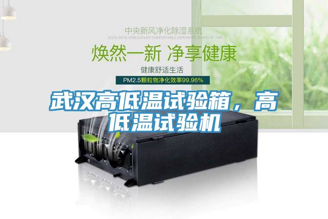 武漢高低溫試驗(yàn)箱，高低溫試驗(yàn)機(jī)