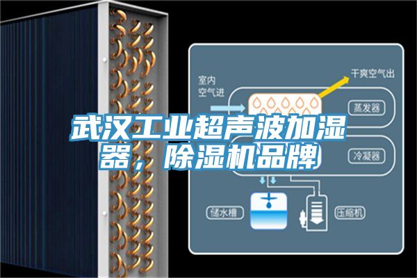 武漢工業(yè)超聲波加濕器，除濕機(jī)品牌