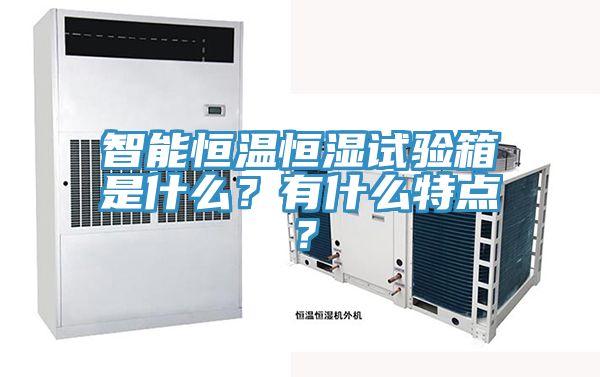 智能恒溫恒濕試驗箱是什么？有什么特點？