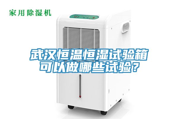 武漢恒溫恒濕試驗箱可以做哪些試驗？