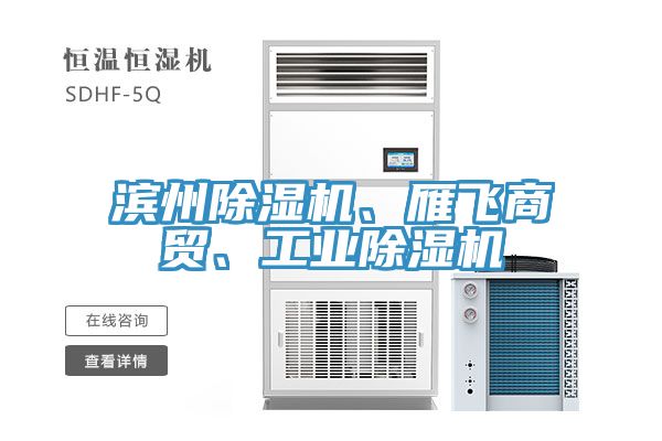濱州除濕機(jī)、雁飛商貿(mào)、工業(yè)除濕機(jī)