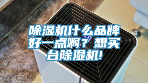 除濕機什么品牌好一點啊？想買臺除濕機!