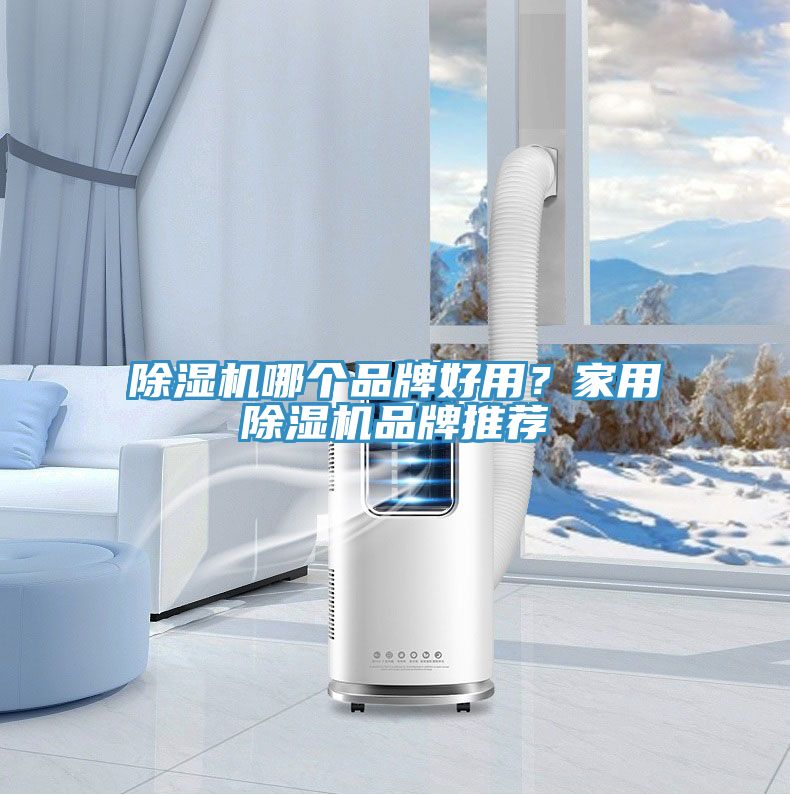 除濕機哪個品牌好用？家用除濕機品牌推薦