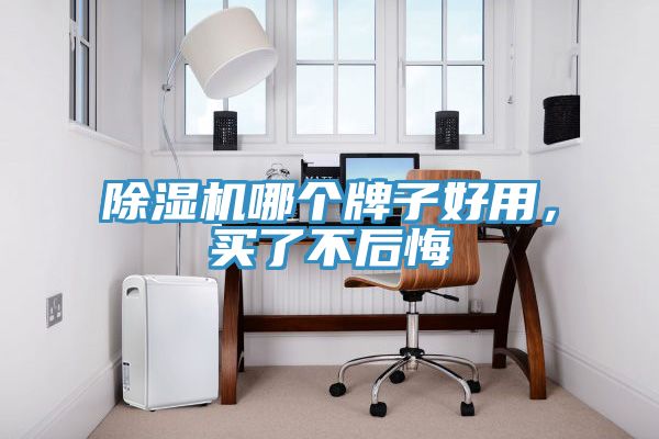除濕機(jī)哪個(gè)牌子好用，買(mǎi)了不后悔
