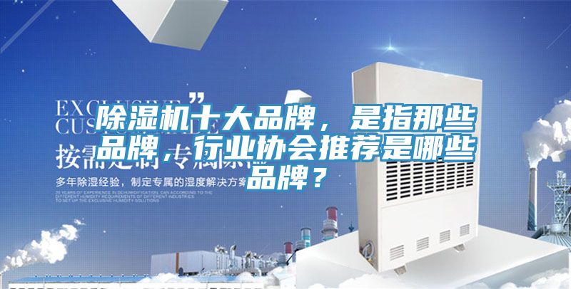 除濕機十大品牌，是指那些品牌，行業(yè)協(xié)會推薦是哪些品牌？