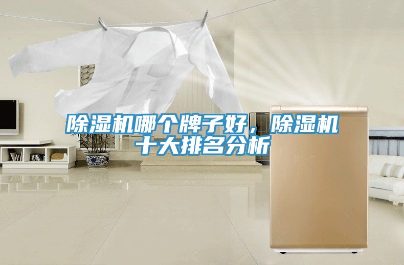 除濕機哪個牌子好，除濕機十大排名分析