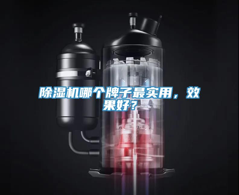 除濕機哪個牌子最實用，效果好？